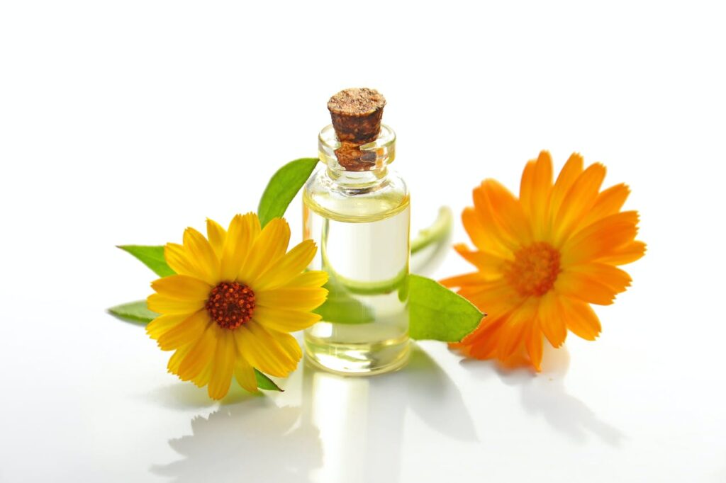 two yellow sunflowers with clear glass bottle with cork lid