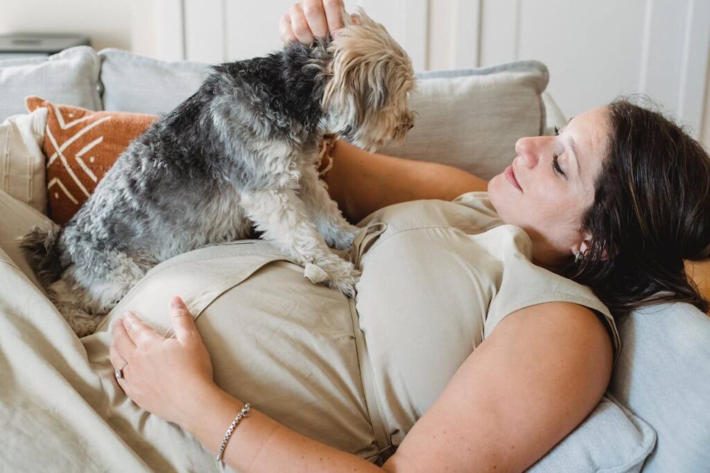 happy pregnant woman stroking cute purebred dog while lying on couch