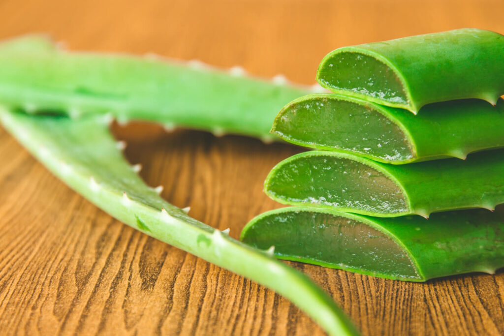 close up aloe vera wooden table background
