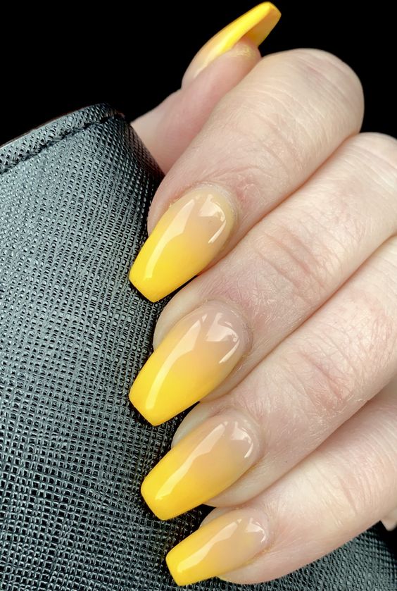 Neutral Yellow Ombre​