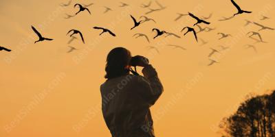 birdwatching as a hobby for woman